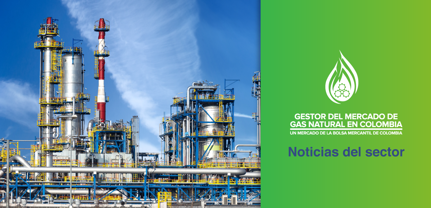 Industria, térmicos y hogares son los que más demandan gas